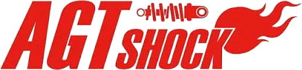 AGT Shock