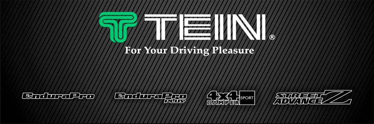 TEIN banner